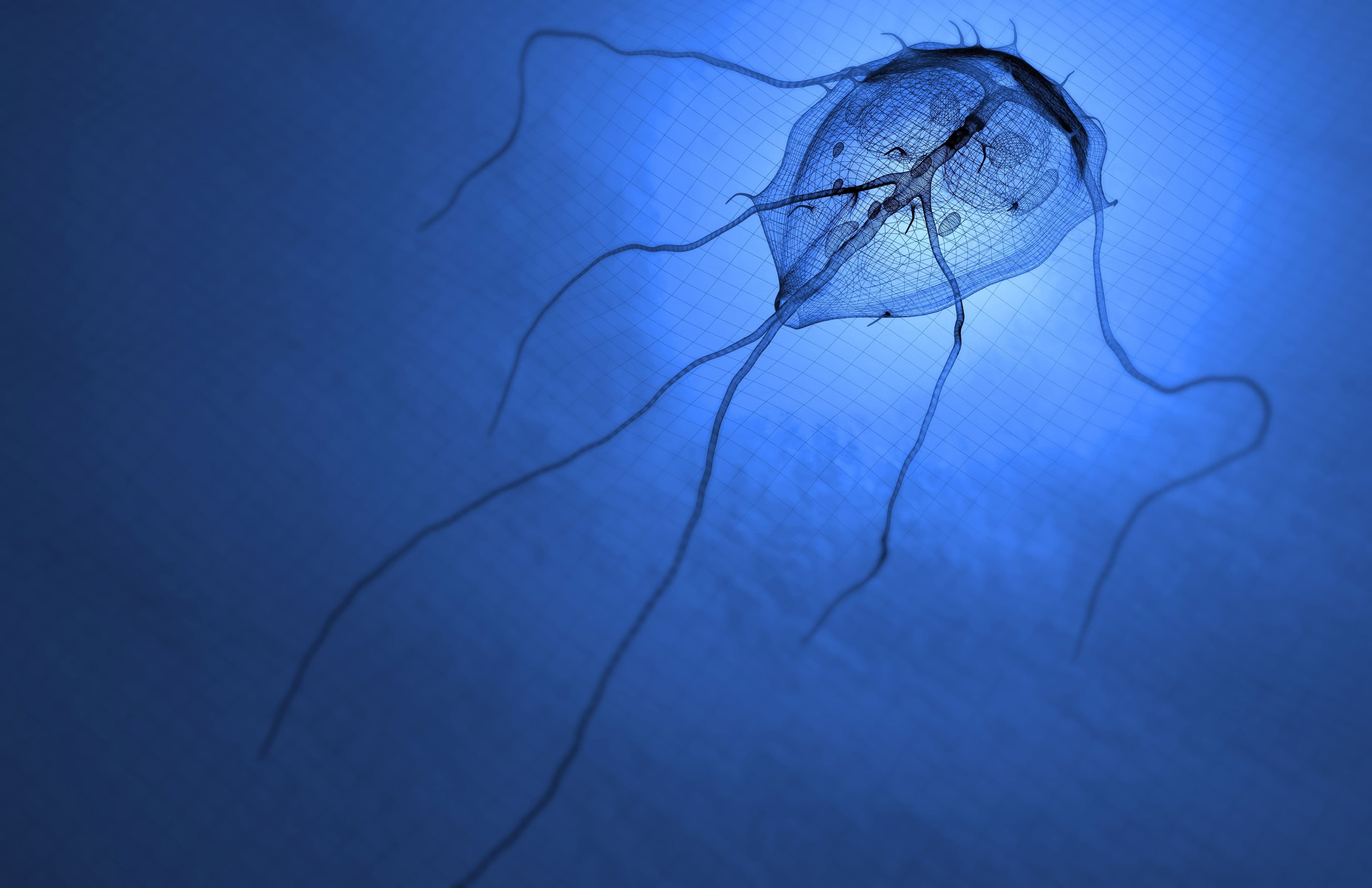 What is Giardia? Symptoms, Treatment & Prevention