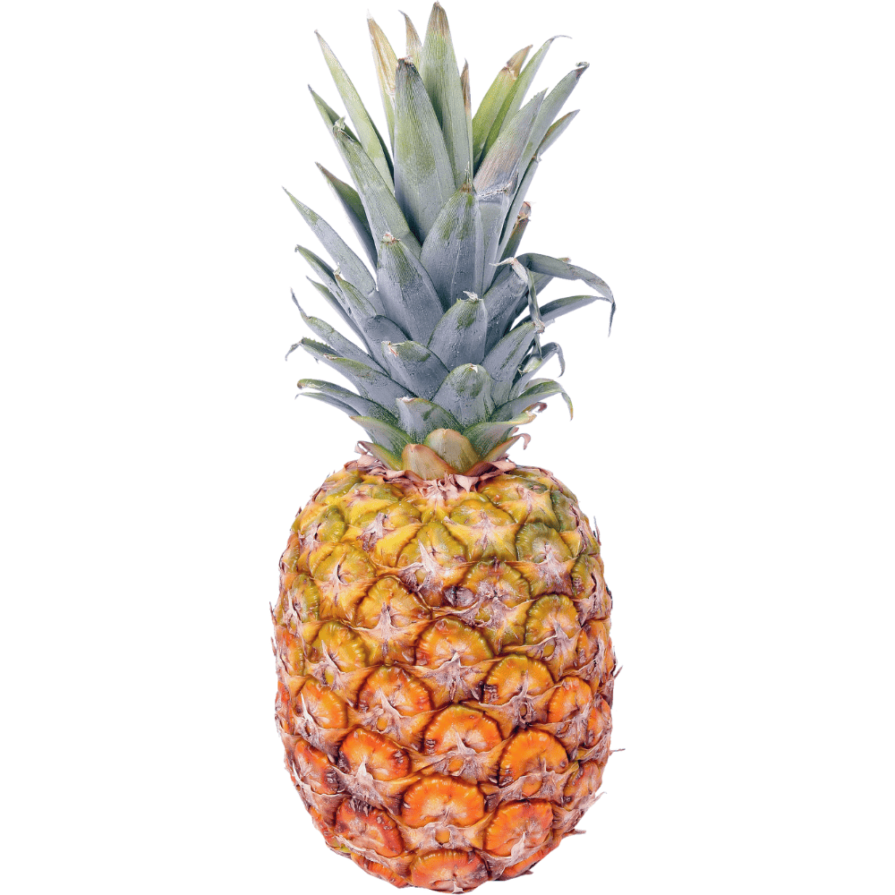 Fresh Pineapple