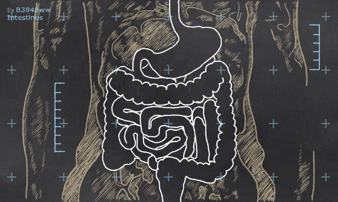 How to Cleanse Your Gut