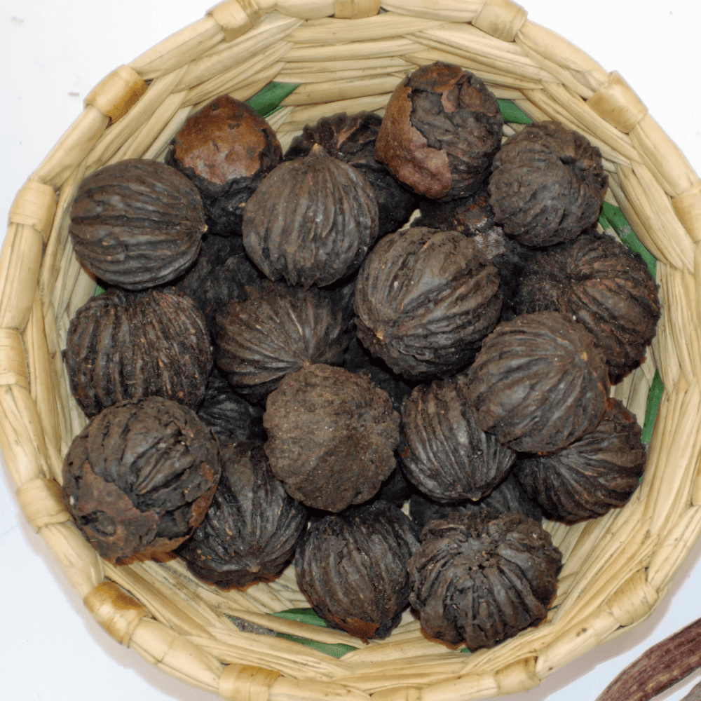 Black Walnut